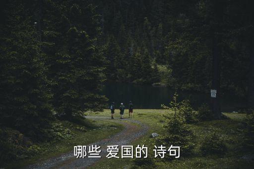 愛國的詩句,第二集:選民投票反對派的競選廣播