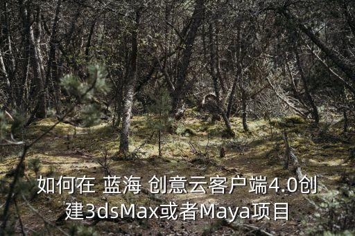如何在 藍(lán)海 創(chuàng)意云客戶端4.0創(chuàng)建3dsMax或者M(jìn)aya項(xiàng)目