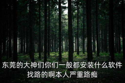 東莞違章拍照哪個app好，查違章什么軟件好