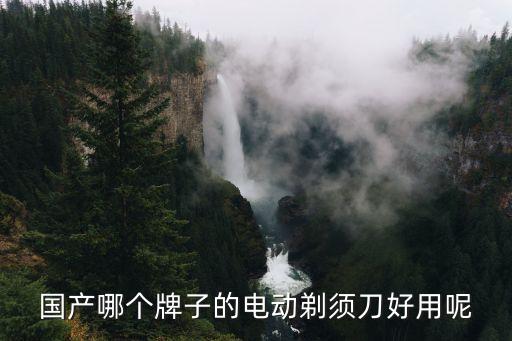 鼎鈴,電磁爐突然跑出來做剃須刀國產品牌比較多