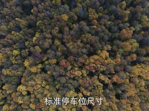 標(biāo)準(zhǔn)停車位尺寸
