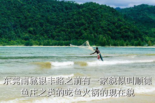 東莞南城銀豐路之前有一家貌似叫順德魚莊之類的吃魚火鍋的現(xiàn)在貌