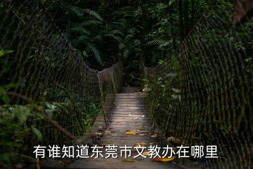 東莞市莞城教育管理中心地址，有誰知道東莞市文教辦在哪里