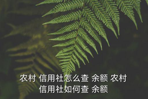  農村 信用社怎么查 余額 農村 信用社如何查 余額