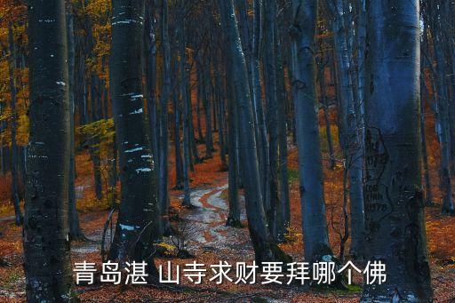 青島湛山寺,山寺恢復(fù)正常開通青島詹山寺女生不能去