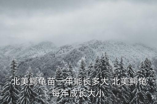  北美鱷龜苗一年能長多大 北美鱷龜每年成長大小