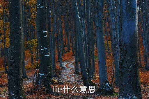 lie什么意思