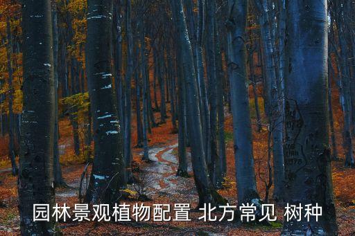 北方樹種,北方冬天冷什么樹種可以種?