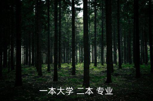 一本大學(xué) 二本 專業(yè)