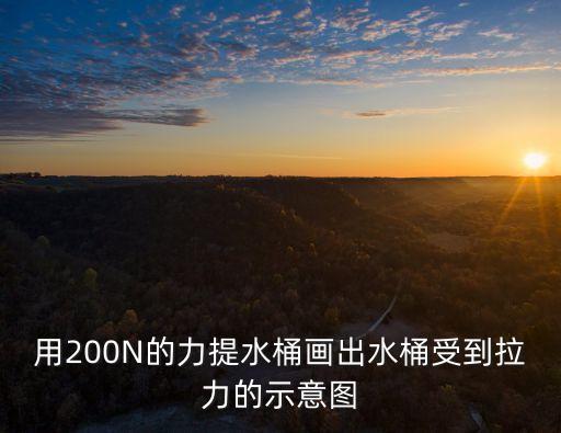 用200N的力提水桶畫出水桶受到拉力的示意圖