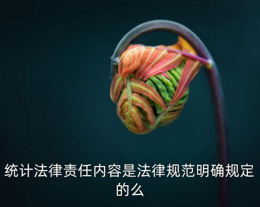 統計法律責任內容是法律規范明確規定的么