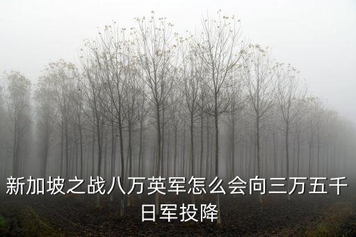 新加坡戰役，如何看待新加坡戰役中 9萬英軍的投降