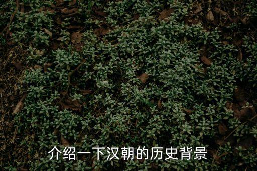 漢代歷史，漢朝時期的歷史