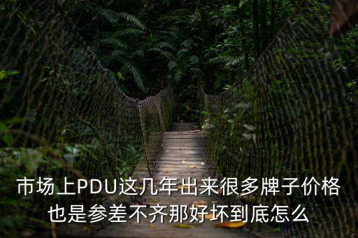市場上PDU這幾年出來很多牌子價格也是參差不齊那好壞到底怎么