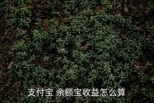 支付寶 余額寶收益怎么算