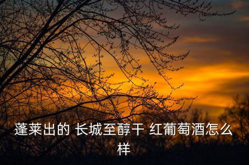 蓬萊出的 長城至醇干 紅葡萄酒怎么樣