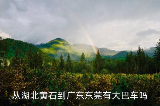 從湖北黃石到廣東東莞有大巴車嗎