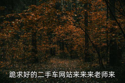 跪求好的二手車網(wǎng)站來來來老師來