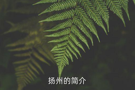 瘦西湖簡(jiǎn)介,中國(guó)第一深水湖泊濟(jì)南大明湖有三個(gè)景點(diǎn)