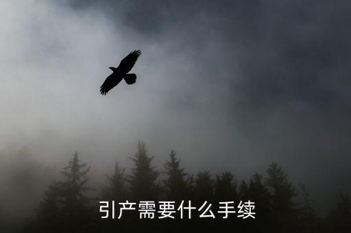  引產(chǎn)需要什么手續(xù)