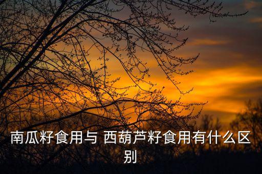 西葫蘆種子,西葫蘆種子可以吃嗎?