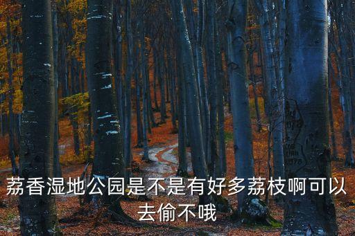 荔香濕地公園是不是有好多荔枝啊可以去偷不哦