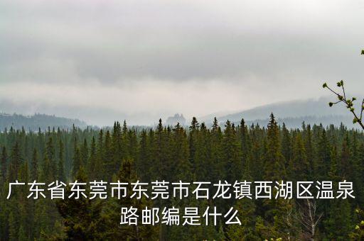 廣東省東莞市東莞市石龍鎮西湖區溫泉路郵編是什么
