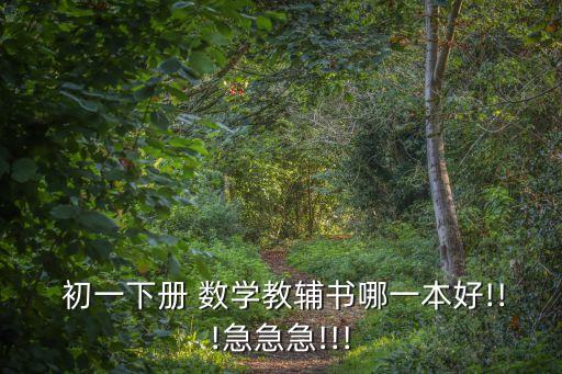  初一下冊(cè) 數(shù)學(xué)教輔書哪一本好!!!急急急!!!