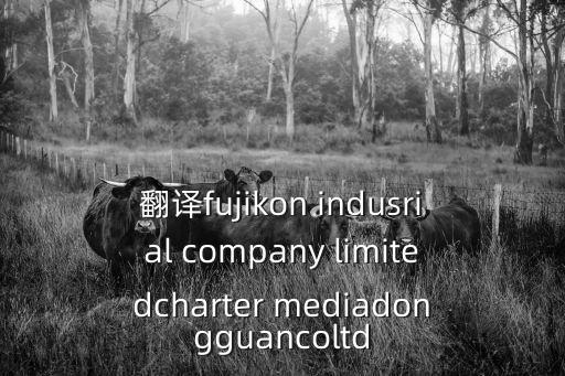 翻譯fujikon indusrial company limitedcharter mediadongguancoltd