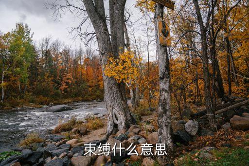 束縛和約束的區別,束縛引用法:只要你不把自己束縛在籠子里