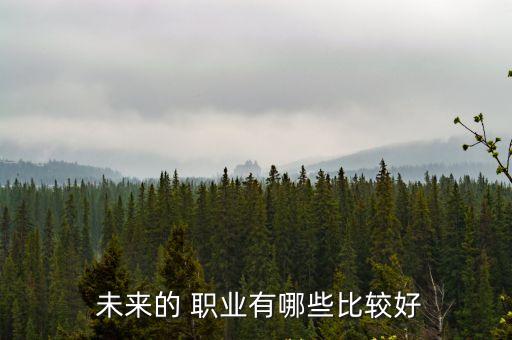 未來的職業,一文讀懂!未來大選2020
