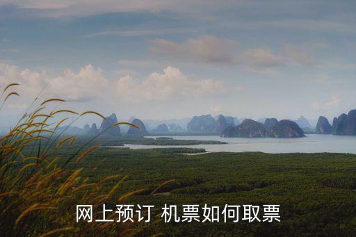 機票廣告,網上訂票須注意什么?