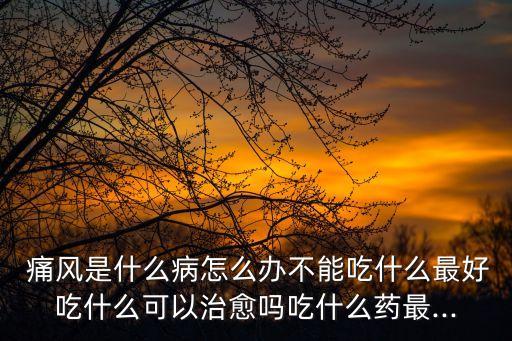  痛風是什么病怎么辦不能吃什么最好吃什么可以治愈嗎吃什么藥最...