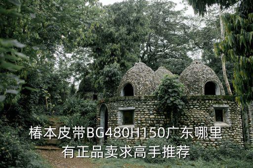 東莞有愛馬仕專賣店嗎，椿本皮帶BG480H150廣東哪里有正品賣求高手推薦