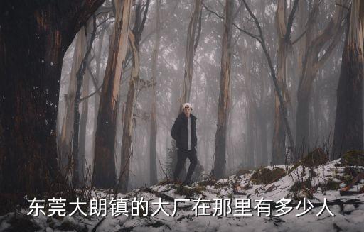 東莞大朗鎮(zhèn)的大廠在那里有多少人
