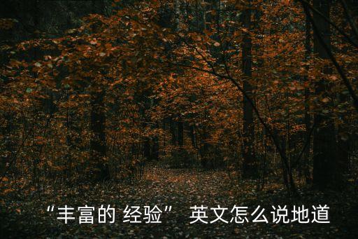 “豐富的 經驗” 英文怎么說地道