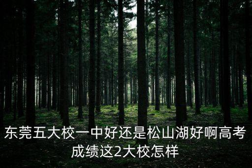 東莞五大校一中好還是松山湖好啊高考成績這2大校怎樣