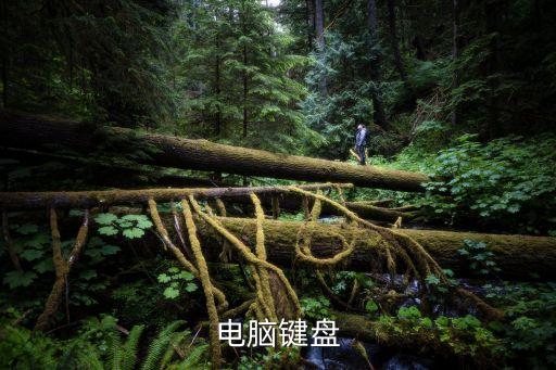計算機鍵盤，計算機鍵盤有那些計算機鍵盤