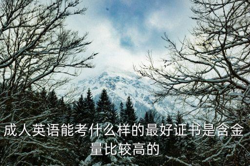 成人英語能考什么樣的最好證書是含金量比較高的