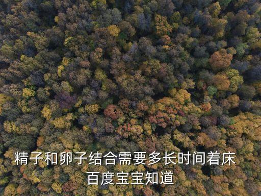 精子著床需要幾天，受精卵著床大概需要幾天哪一天