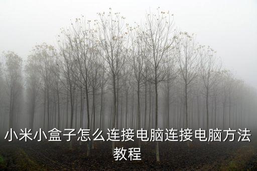 小米盒子怎么用，小米小盒子怎么連接電腦連接電腦方法教程