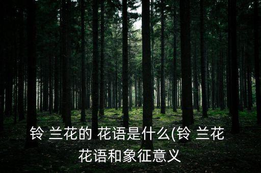 鈴蘭花的花語,這些春天的花兒!
