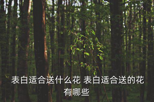  表白適合送什么花 表白適合送的花有哪些