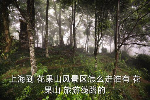 花果山旅游攻略,花果山景區(qū)原價100元門票已被搶購一空