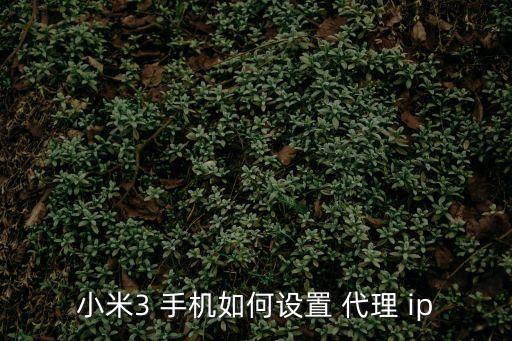 小米3 手機如何設置 代理 ip
