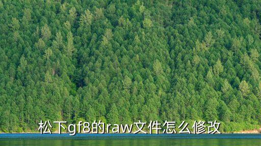 松下gf8的raw文件怎么修改