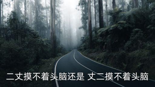 二丈摸不著頭腦還是 丈二摸不著頭腦