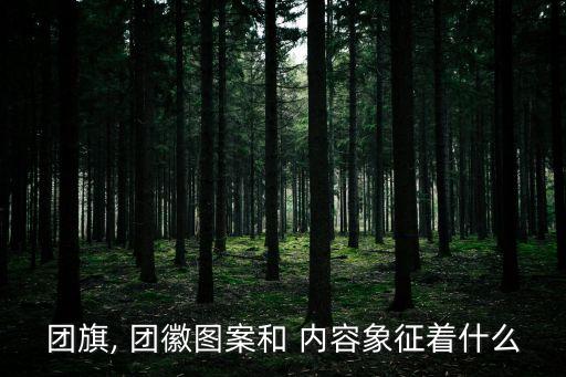 團徽的內容,中國共產主義青年團旗面是紅色的象征著革命勝利