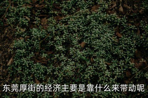 東莞厚街的經濟主要是靠什么來帶動呢