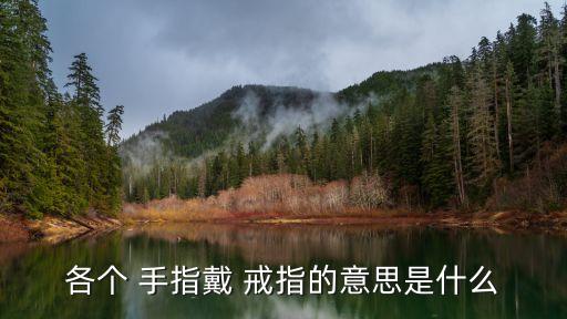 每個(gè)手指戴戒指的含義,每手指戴戒指含義:一般情況下較常見